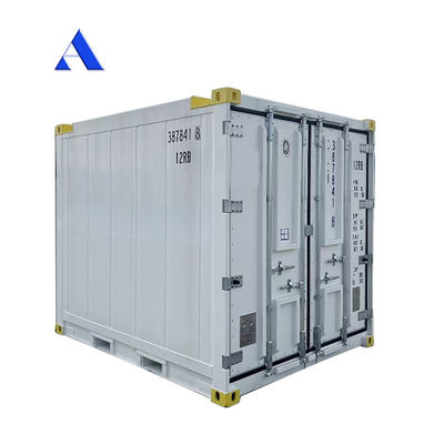 10 piedi DNV 2.7-1 Contenitore standard Congelatore congelato Offshore Refrigerato Reefer con certificato CSC e angolo della zampa Max 45 gradi