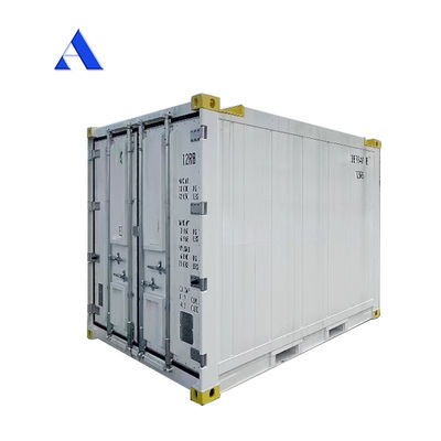 10 piedi DNV 2.7-1 Contenitore standard Congelatore congelato Offshore Refrigerato Reefer con certificato CSC e angolo della zampa Max 45 gradi