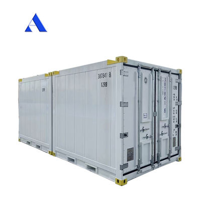 10 piedi DNV 2.7-1 Contenitore standard Congelatore congelato Offshore Refrigerato Reefer con certificato CSC e angolo della zampa Max 45 gradi