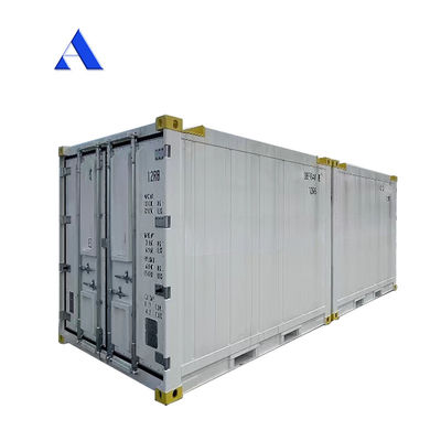 10 piedi DNV 2.7-1 Contenitore standard Congelatore congelato Offshore Refrigerato Reefer con certificato CSC e angolo della zampa Max 45 gradi