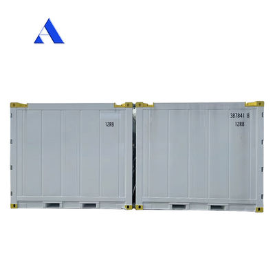 10 piedi DNV 2.7-1 Contenitore standard Congelatore congelato Offshore Refrigerato Reefer con certificato CSC e angolo della zampa Max 45 gradi