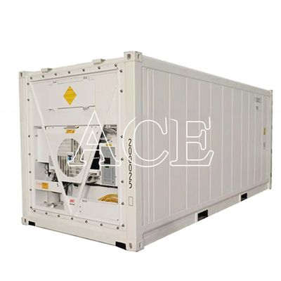 20ft Reefer Container Thermo King Refrigerated Cooler con dimensioni esterne 606*244*259mm e 32CBM Capacità