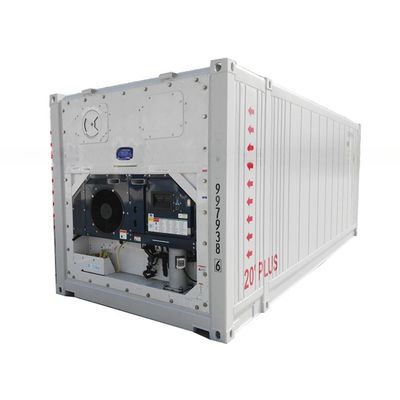 Dimensione personalizzata 23ft BV Certificato Contenitore di stoccaggio frigorifero -30- 30C Temperatura 380/440V