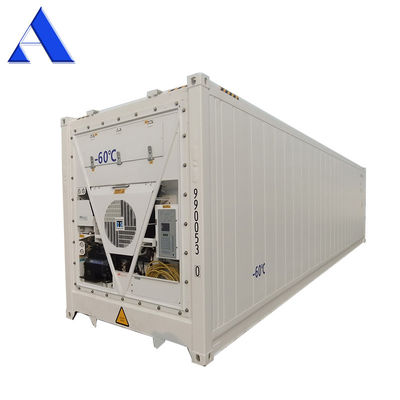 40ft Reefer Deep Blast Feezer Container Polyurethane Isolato Termo Refrigeratore per 60 gradi di conservazione di tonno fresco