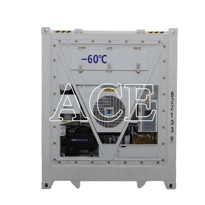40ft Reefer Deep Blast Feezer Container Polyurethane Isolato Termo Refrigeratore per 60 gradi di conservazione di tonno fresco