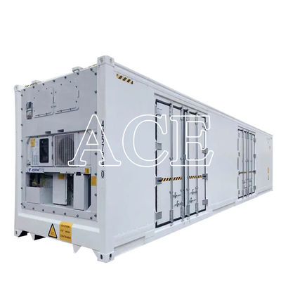 Container Reefer Container Il contenitore perfetto per il trasporto di merci fresche