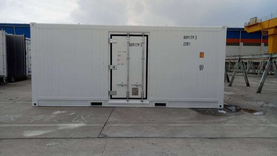 Carrier Cooler 20ft Reefer Container con porta laterale in alluminio fondo Termo King frigorifero