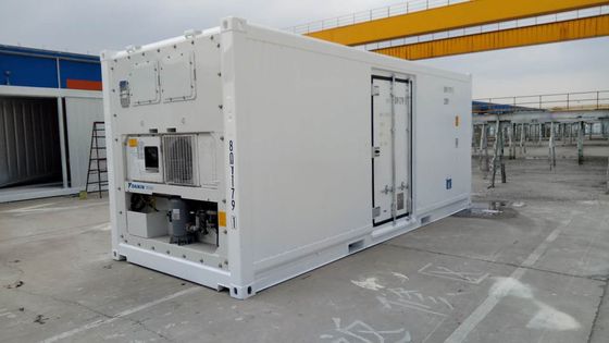Carrier Cooler 20ft Reefer Container con porta laterale in alluminio fondo Termo King frigorifero
