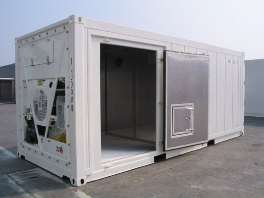 Carrier Cooler 20ft Reefer Container con porta laterale in alluminio fondo Termo King frigorifero