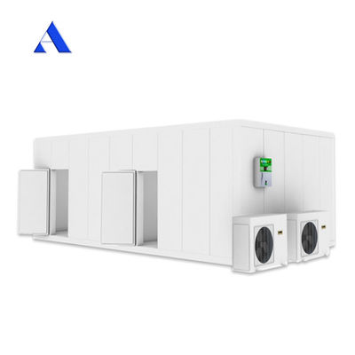 Acciaio inossidabile Parete interna 40ft x 20ft doppia temperatura frigorifero e congelatore contenitore camera fredda per lo stoccaggio contenitore Reefer
