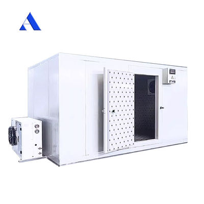 Acciaio inossidabile Parete interna 40ft x 20ft doppia temperatura frigorifero e congelatore contenitore camera fredda per lo stoccaggio contenitore Reefer