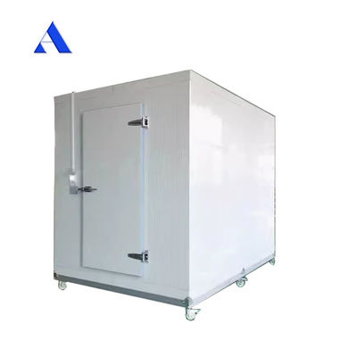 Acciaio inossidabile Parete interna 40ft x 20ft doppia temperatura frigorifero e congelatore contenitore camera fredda per lo stoccaggio contenitore Reefer