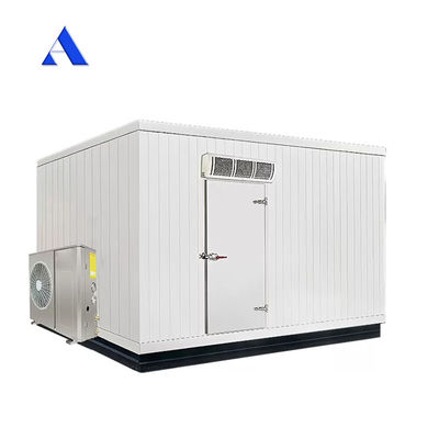 Acciaio inossidabile Parete interna 40ft x 20ft doppia temperatura frigorifero e congelatore contenitore camera fredda per lo stoccaggio contenitore Reefer
