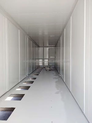 Accettazione di piccoli ordini quantità Bess personalizzabile 40ft sistema di stoccaggio dell'energia solare contenitore di batterie