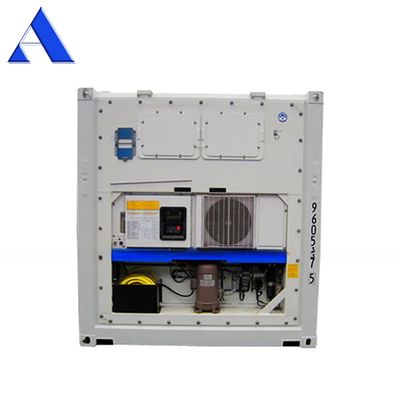Contenitore di alloggio per pescherecci di acciaio inossidabile da 10 piedi DNV certificato con unità di raffreddamento Thermo King