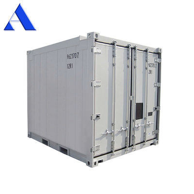 Contenitore di alloggio per pescherecci di acciaio inossidabile da 10 piedi DNV certificato con unità di raffreddamento Thermo King