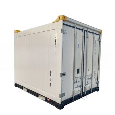 Contenitore frigorifero offshore da 10 piedi Certificati CSC/BV in acciaio e alluminio con pavimento in T-Bar in alluminio