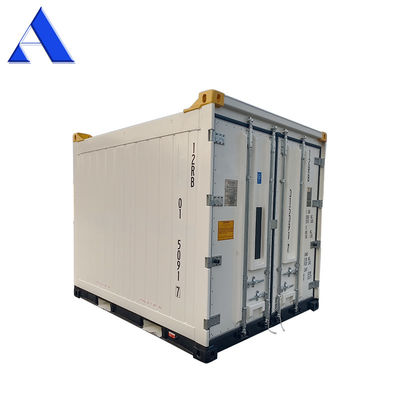Contenitore frigorifero offshore da 10 piedi Certificati CSC/BV in acciaio e alluminio con pavimento in T-Bar in alluminio