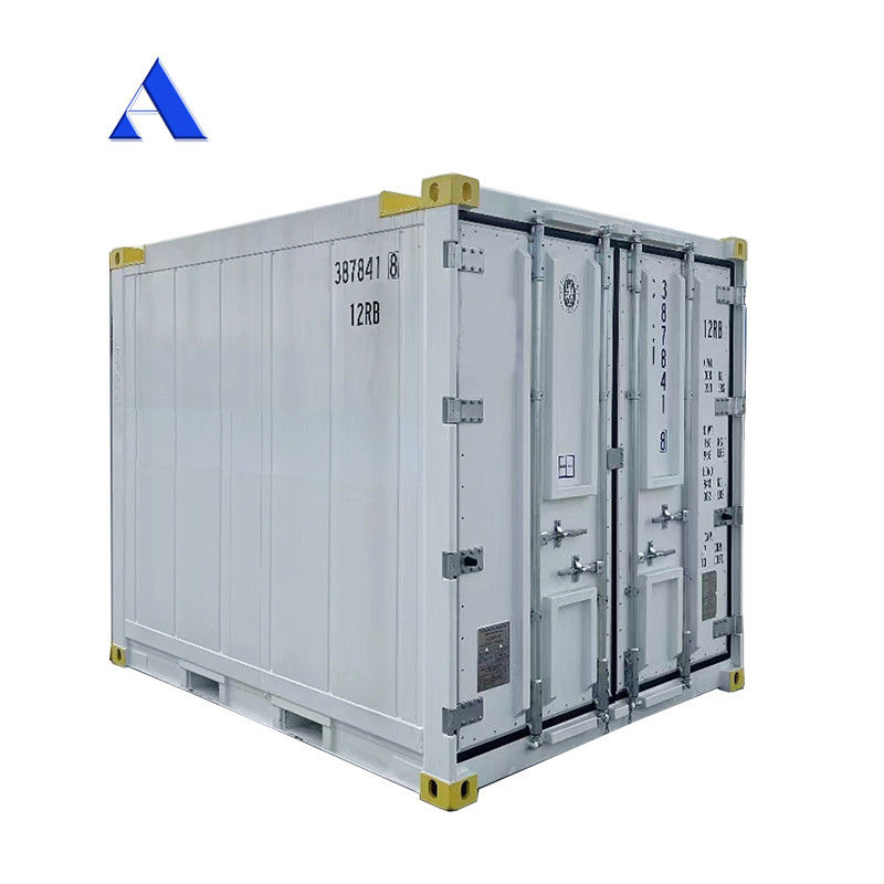 10 piedi DNV 2.7-1 Contenitore standard Congelatore congelato Offshore Refrigerato Reefer con certificato CSC e angolo della zampa Max 45 gradi