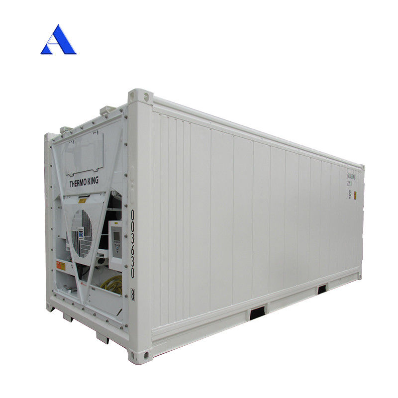 20ft Reefer Container Thermo King Refrigerated Cooler con dimensioni esterne 606*244*259mm e 32CBM Capacità