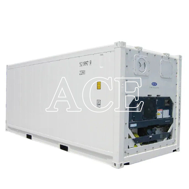 20ft Reefer Container Carrier Refrigerator Freezer o congelato doppio scopo con dimensioni interne