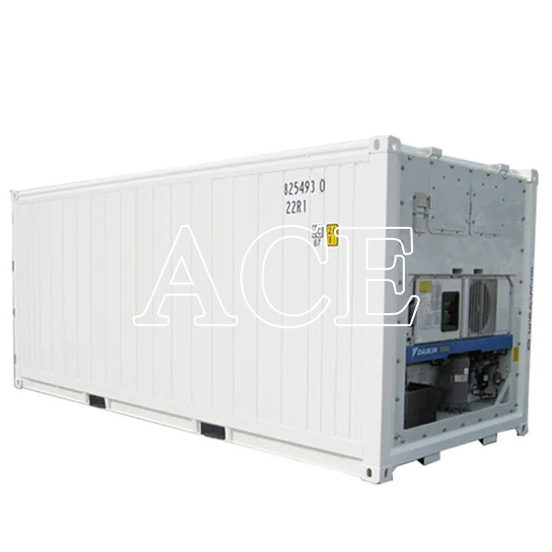 20ft Corten-A Refrigerator Reefer Container a Dubai Ideale per il trasporto di pesce e carne congelato