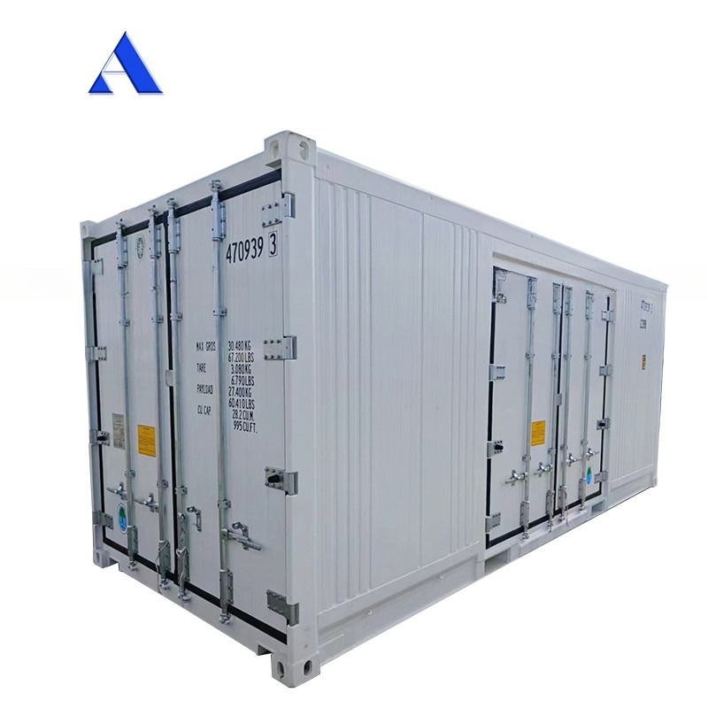 Carrier Cooler 20ft Reefer Container con porta laterale in alluminio fondo Termo King frigorifero