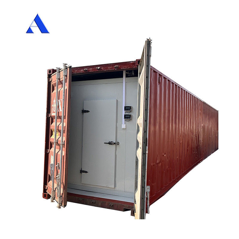 R134a/R404A Frigorifero 12m Lunghezza 60 cbm 40ft Contenitore frigorifero Reefer Camera fredda Stoccaggio Pavimento T-Bar in alluminio durevole