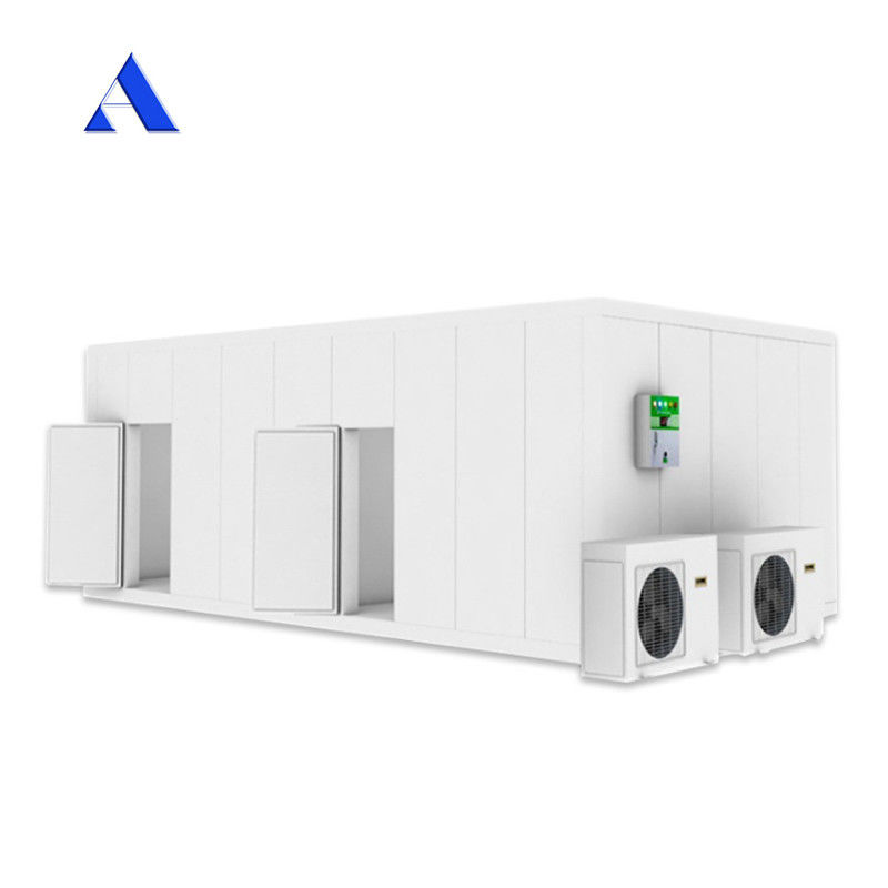 Acciaio inossidabile Parete interna 40ft x 20ft doppia temperatura frigorifero e congelatore contenitore camera fredda per lo stoccaggio contenitore Reefer