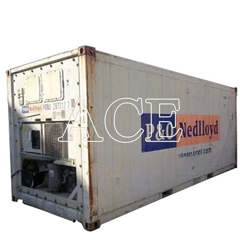 20 piedi frigorifero di seconda mano meno 18 gradi contenitore Reefer a Dubai Porta apertura 2290 x 2246 MM Età 2004-2008